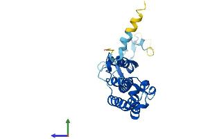 Protein Structure (PS) image for GINS Complex Subunit 3 (Psf3 Homolog) (GINS3) (AA 1-216) protein (His tag) (ABIN7551070)