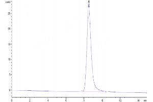 Size-exclusion chromatography-High Pressure Liquid Chromatography (SEC-HPLC) image for Ectonucleoside Triphosphate diphosphohydrolase 1 (ENTPD1) (AA 38-478) protein (His tag) (ABIN7274171)