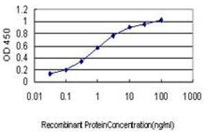 Detection limit for recombinant GST tagged DUSP5 is approximately 0. (DUSP5 抗体  (AA 286-384))