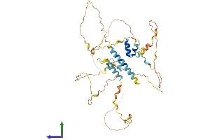 Protein Structure (PS) image for MEF2 Activating Motif and SAP Domain Containing Transcriptional Regulator (MAMSTR) (AA 1-421) protein (His tag) (ABIN7556959)