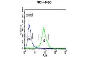 Flow Cytometry (FACS) image for anti-Gc antibody (ABIN3003972) (Gc 抗体)