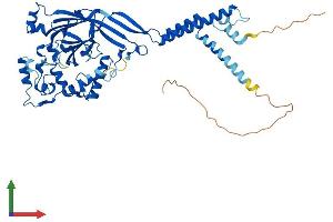 Protein Structure (PS) image for Amiloride-Sensitive Cation Channel 1, Neuronal (ACCN1) (AA 1-512) protein (His tag) (ABIN7552366)
