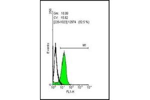 Flow Cytometry (FACS) image for anti-POU Class 5 Homeobox 1 (POU5F1) antibody (ABIN615524)
