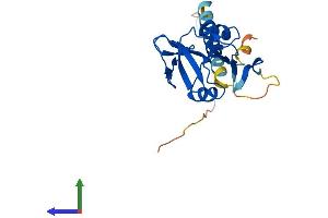 Protein Structure (PS) image for Killer Cell Lectin-Like Receptor Subfamily G, Member 1 (KLRG1) (AA 1-195) protein (His tag) (ABIN7548868)