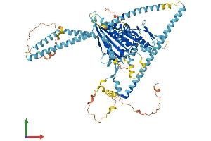 Protein Structure (PS) image for Kinesin Family Member 3A (KIF3A) (AA 1-701) protein (His tag) (ABIN7563066)