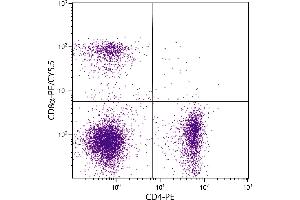 BALB/c mouse splenocytes were stained with Rat Anti-Mouse CD8α-PE/CY5. (CD8 alpha 抗体  (PE-Cy5.5))