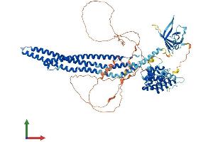 Protein Structure (PS) image for Oligophrenin 1 (OPHN1) (AA 1-802) protein (His tag) (ABIN7564874)