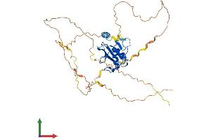 Protein Structure (PS) image for SH2 Domain Protein 2A (SH2D2A) (AA 1-374) protein (His tag) (ABIN7561750)