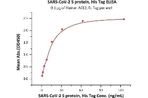 ELISA image for SARS-CoV-2 Spike (Super Stable Trimer) protein (His tag) (ABIN6953299)