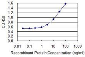 ELISA image for anti-serpin Peptidase Inhibitor, Clade A (Alpha-1 Antiproteinase, Antitrypsin), Member 3 (SERPINA3) (AA 1-423) antibody (ABIN513028)