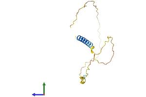 Protein Structure (PS) image for Cell Cycle Exit and Neuronal Differentiation 1 (CEND1) (AA 1-149) protein (His tag) (ABIN7553278)