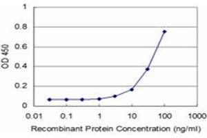 Detection limit for recombinant GST tagged FOXF2 is approximately 3ng/ml as a capture antibody. (FOXF2 抗体  (AA 207-340))