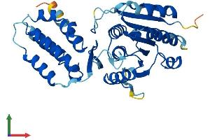 AlphaFold protein structure predicition of Mouse Recombinant Eef2kmt Protein, UniprotID Q3UZW7