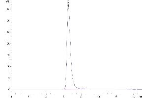 The purity of Biotinylated Human AXL is greater than 95 % as determined by SEC-HPLC.