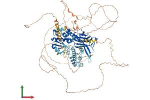 Protein Structure (PS) image for DnaJ (Hsp40) Homolog, Subfamily C, Member 6 (DNAJC6) (AA 1-913) protein (His tag) (ABIN7552519)