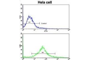 Flow Cytometry (FACS) image for anti-Mast/stem Cell Growth Factor Receptor (KIT) antibody (ABIN2995261) (KIT 抗体)