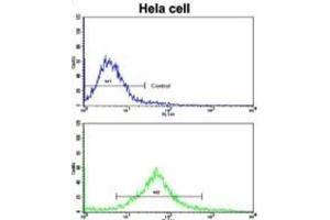 Flow Cytometry (FACS) image for anti-Mast/stem Cell Growth Factor Receptor (KIT) antibody (ABIN5014921) (KIT 抗体)