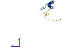Protein Structure (PS) image for DPY30 Domain Containing 1 (DYDC1) (AA 1-175) protein (His tag) (ABIN7561186)