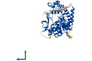 Protein Structure (PS) image for Galactose-3-O-Sulfotransferase 3 (GAL3ST3) (AA 1-431) protein (His tag) (ABIN7547813)