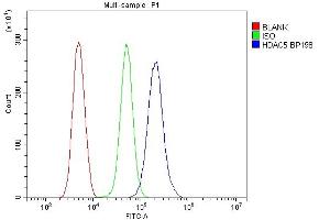 Flow Cytometry analysis of THP-1 cells using anti-HDAC5 antibody (ABIN7599922). (HDAC5 抗体  (AA 13-1107))