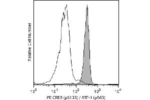 Flow Cytometry (FACS) image for anti-cAMP Responsive Element Binding Protein 1 (CREB1) (pSer133) antibody (PE) (ABIN1177047) (CREB1 抗体  (pSer133) (PE))