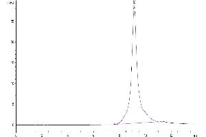 Size-exclusion chromatography-High Pressure Liquid Chromatography (SEC-HPLC) image for Kallikrein 5 (KLK5) (AA 30-293) protein (His tag) (ABIN7275097)