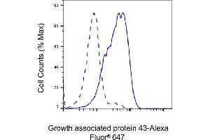 Validation of Growth associated protein 43 knockdown using flow cytometry. (Recombinant GAP43 抗体)