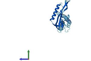 Protein Structure (PS) image for Potassium Large Conductance Calcium-Activated Channel, Subfamily M, beta Member 2 (KCNMB2) (AA 1-235) protein (His tag) (ABIN7548687)