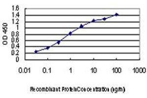 Detection limit for recombinant GST tagged TTN is approximately 0. (Titin 抗体  (AA 1-110))