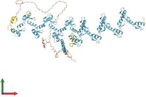 AlphaFold protein structure predicition of Human Recombinant ZNF845 Protein, UniprotID Q96IR2