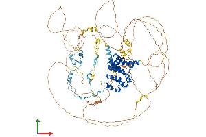 Protein Structure (PS) image for Protein Phosphatase 1, Regulatory (Inhibitor) Subunit 10 (PPP1R10) (AA 1-888) protein (His tag) (ABIN7564277)