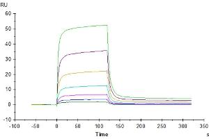 Surface Plasmon Resonance (SPR) image for Programmed Cell Death 1 Ligand 2 (PDCD1LG2) (AA 20-220) protein (His-Avi Tag,Biotin) (ABIN7275433)