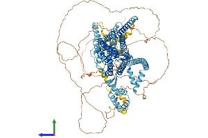 AlphaFold protein structure predicition of Mouse Recombinant Tmc5 Protein, UniprotID Q32NZ6