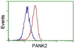 Flow cytometric Analysis of Jurkat cells, using anti-PANK2 antibody (ABIN2453418), (Red), compared to a nonspecific negative control antibody (ABIN2453418), (Blue). (PANK2 抗体)