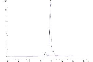 The purity of Mouse LRIG1 is greater than 95 % as determined by SEC-HPLC. (Lrig1 Protein (AA 35-794) (His tag))