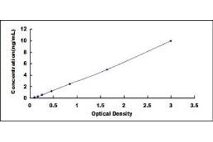 Typical standard curve (FKBP1B ELISA 试剂盒)