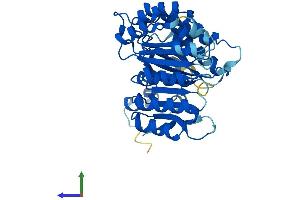Protein Structure (PS) image for F-Box and Leucine-Rich Repeat Protein 8 (FBXL8) (AA 1-374) protein (His tag) (ABIN7559373)