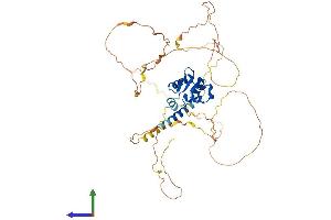 Protein Structure (PS) image for Ets Variant 1 (ETV1) (AA 1-477) protein (His tag) (ABIN7547459)