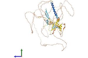 AlphaFold protein structure predicition of Mouse Recombinant Lrif1 Protein, UniprotID Q8CDD9