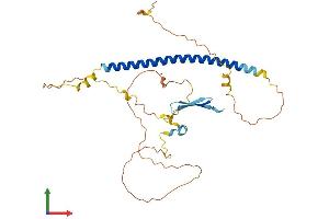 Protein Structure (PS) image for Geminin Coiled-Coil Domain Containing (GMNC) (AA 1-334) protein (His tag) (ABIN7547907)