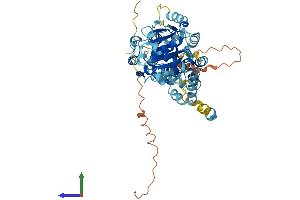 Protein Structure (PS) image for DEAD (Asp-Glu-Ala-Asp) Box Polypeptide 56 (DDX56) (AA 1-547) protein (His tag) (ABIN7547051)