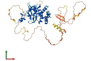 Protein Structure (PS) image for Suppressor of Variegation 4-20 Homolog 2 (SUV420H2) (AA 1-462) protein (His tag) (ABIN7548749)