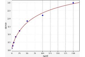 Typical standard curve (Cluster of Differentiation 42 ELISA 试剂盒)