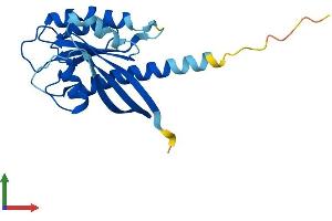 Protein Structure (PS) image for RAB7B, Member RAS Oncogene Family (RAB7B) (AA 1-199) protein (His tag) (ABIN7551175)