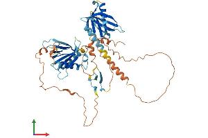 Protein Structure (PS) image for Amyloid beta (A4) Precursor Protein-Binding, Family B, Member 3 (APBB3) (AA 1-486) protein (His tag) (ABIN7552225)