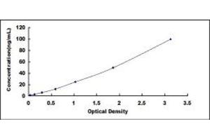 Typical standard curve (HSP90AA1 ELISA 试剂盒)