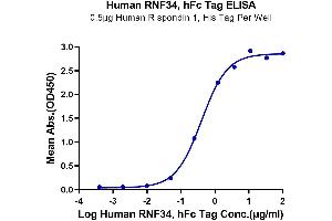 ELISA image for Ring Finger Protein 34 (RNF34) (AA 24-197) protein (Fc Tag) (ABIN7275519)
