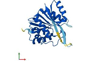 Protein Structure (PS) image for Methyltransferase Like 5 (METTL5) (AA 1-209) protein (His tag) (ABIN7549409)