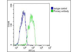 Overlay histogram showing HepG2 cells stained with (ABIN6243636 and ABIN6578784)(green line). (Chemerin 抗体  (AA 1-35))