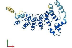 Protein Structure (PS) image for Ankyrin Repeat and SOCS Box Containing 8 (ASB8) (AA 1-288) protein (His tag) (ABIN7560158)